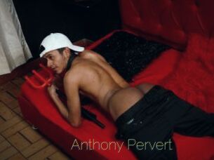 Anthony_Pervert