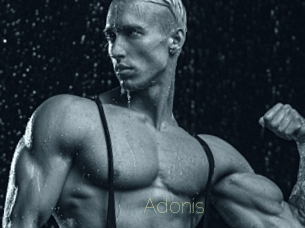 Adonis