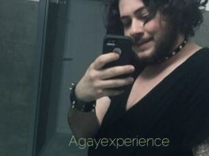 Agayexperience