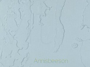 Annisbeeson