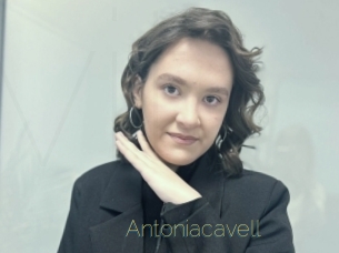 Antoniacavell