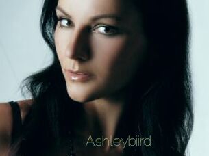 Ashleybiird