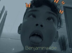 Benjaminwilde