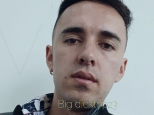 Big_dicktop23