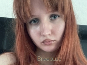 Breebuss