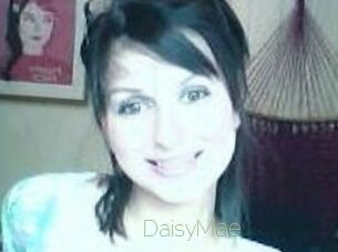 Daisy_Mae