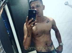 Damianhorny24