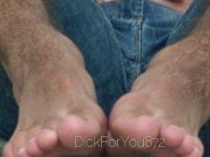 DickForYou872