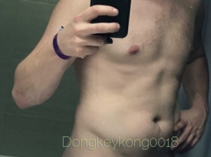 Dongkeykong0018