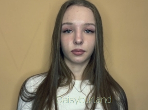 Daisyburland