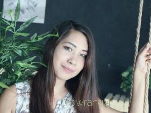 Drowranger