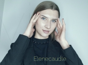 Elenecaudle