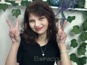 Elwinacloud