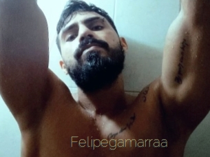 Felipegamarraa