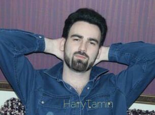 HairyTamin