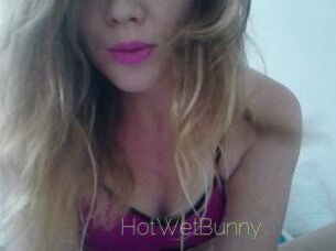 HotWetBunny