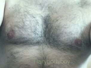 Hairybodyboy