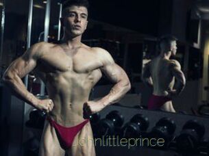 Johnlittleprince
