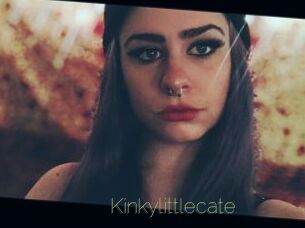 Kinkylittlecate