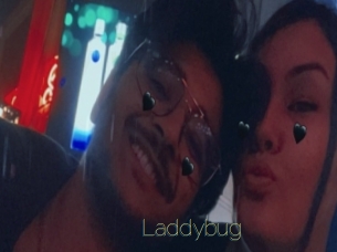 Laddybug