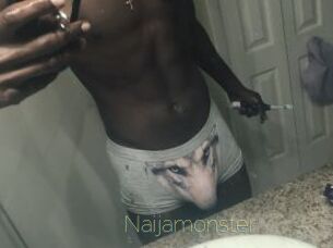 Naijamonster