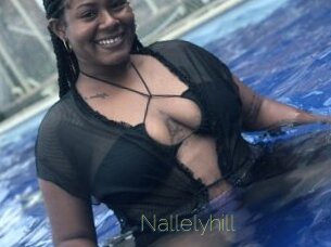 Nallelyhill