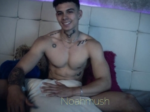 Noahmush