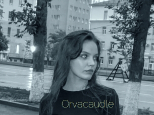 Orvacaudle