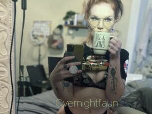 Overnightfaun
