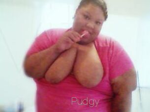 Pudgy