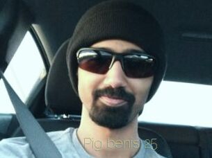 Pig_benis_25