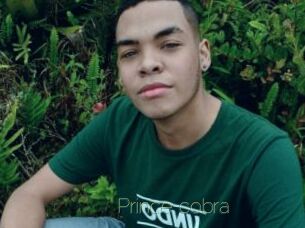 Prince_cobra