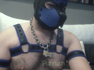 Puprush