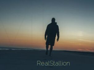 RealStallion