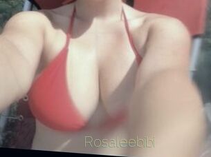 Rosaleebibi