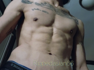 Rippedasian66