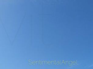 SentimentalAngel