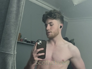 Scottydavies