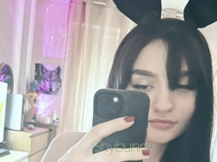 Shybunny