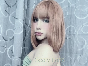 Soary_trans