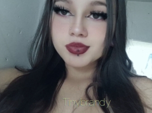 Tinybrandy