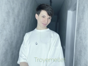 Troyemellet