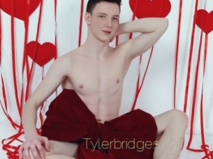 Tylerbridges