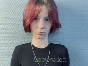 Udelehallett