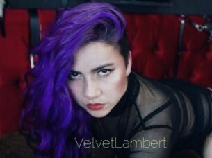 VelvetLambert