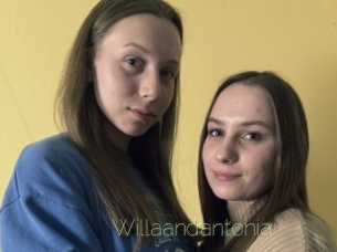 Willaandantonia