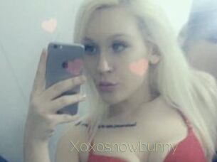 Xoxosnowbunny