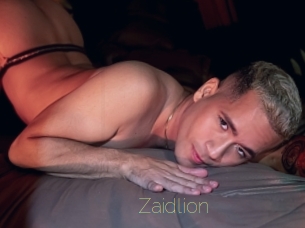 Zaidlion