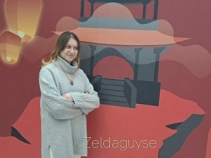 Zeldaguyse